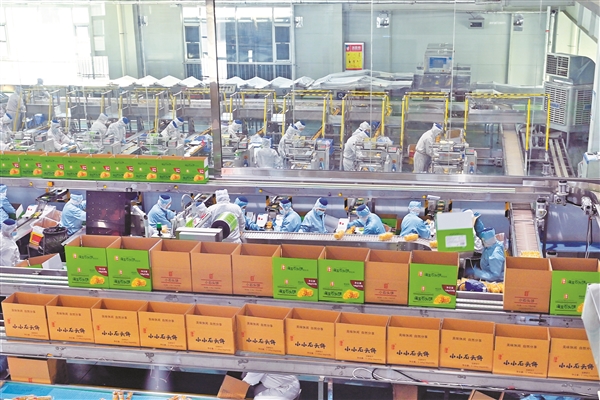 山西海玉園（晉中國家農高區）食品產業園有序生產 引領食品銷售新趨勢